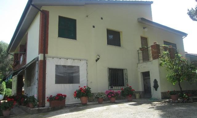 casa ali 2