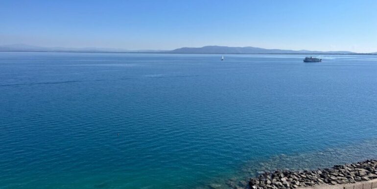 IMG-20250405-WA0005